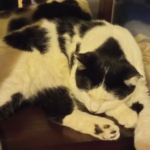 All Things Necessary to Satisfy the Soul.